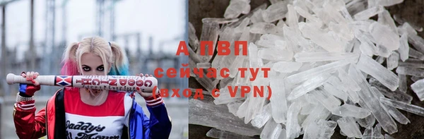 крисы Дмитриев