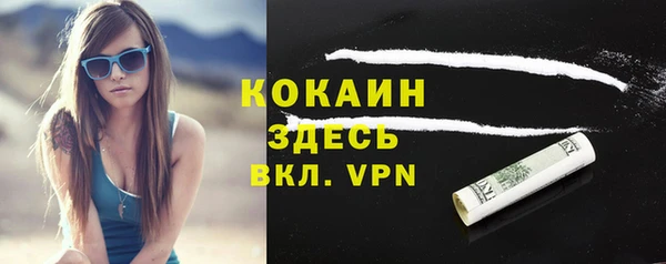 дживик Дмитров