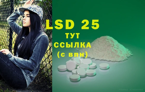 крисы Дмитриев
