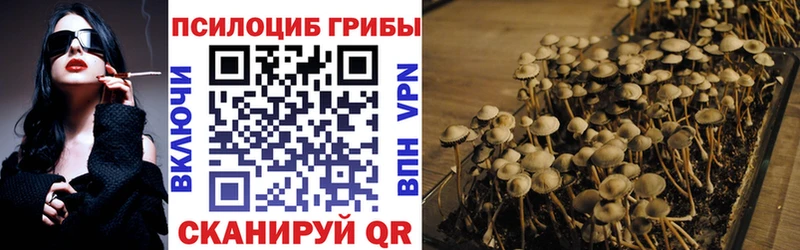 Псилоцибиновые грибы Magic Shrooms  Купить закладки  Малгобек 